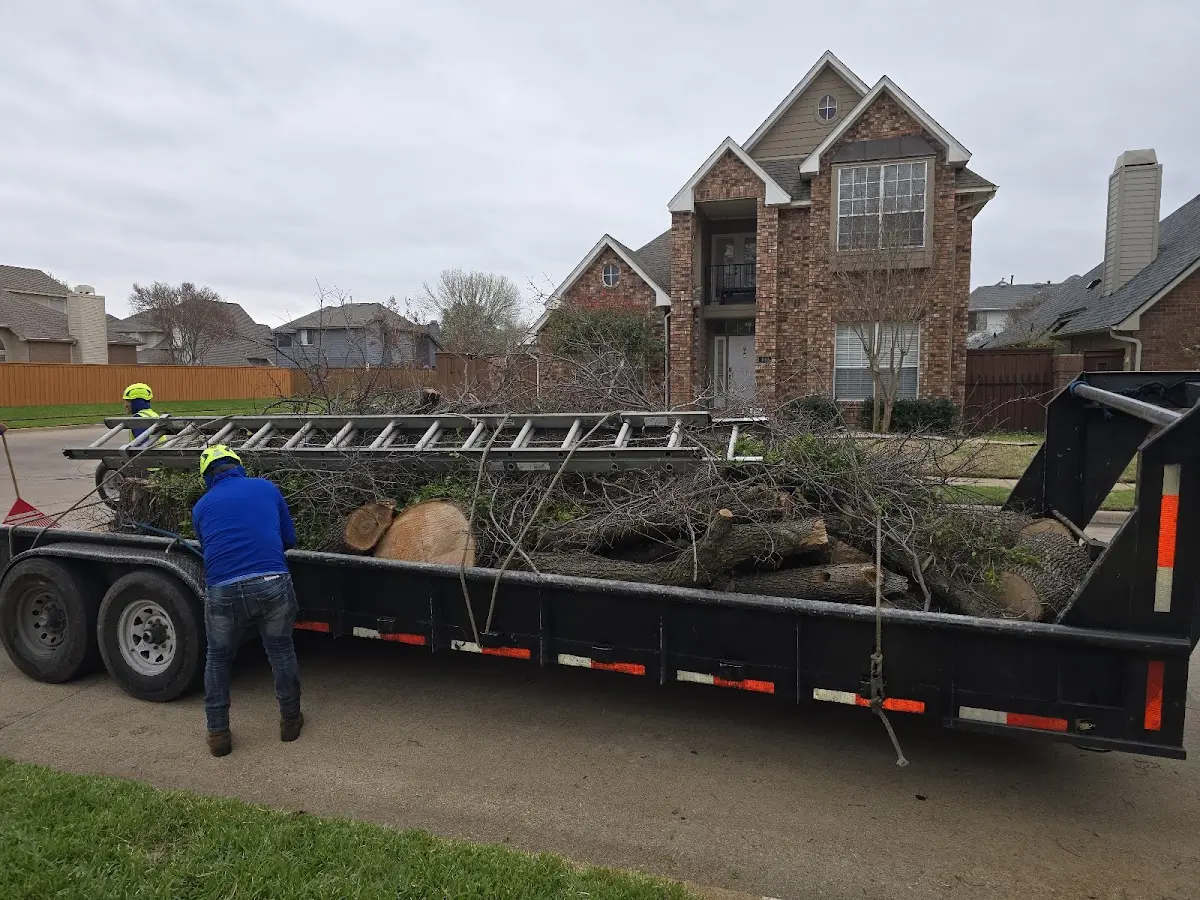 Expert Tree Fertilization with proper safety equipment in Brecksville